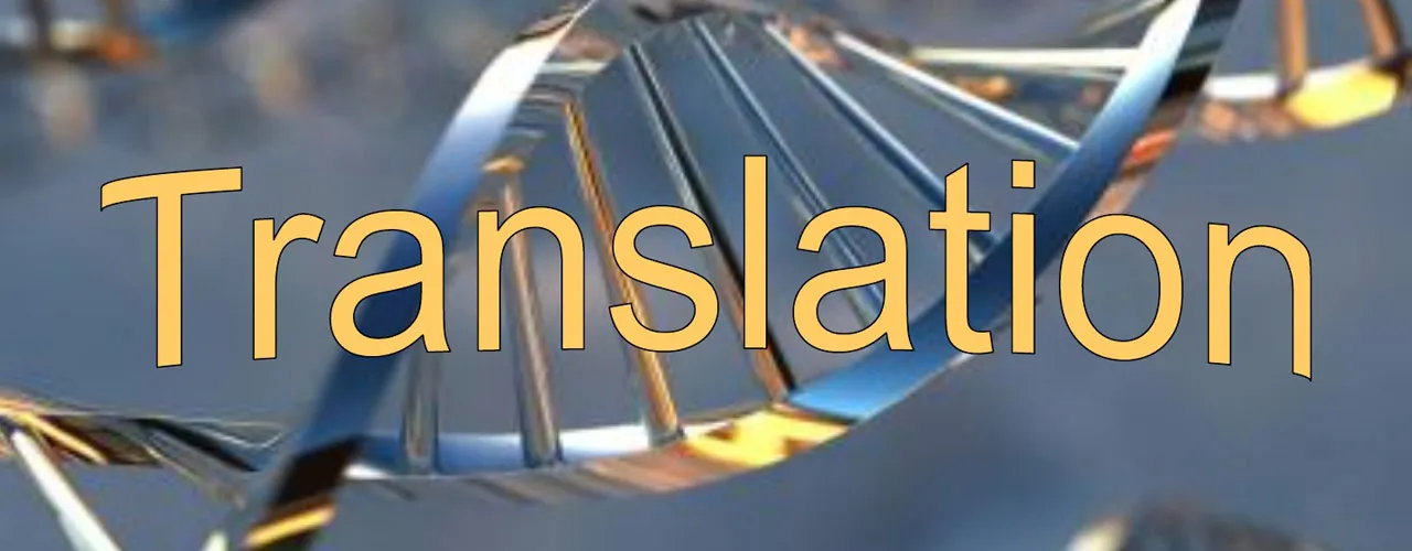 ترجمه سریع مدارک